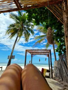 Ayla Beach House - Unrated properties in Kiwengwa