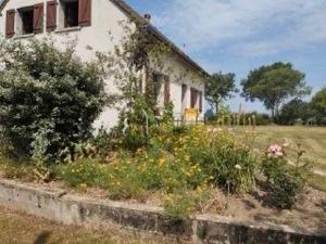 Maisons de vacances Gite Pouligny-Saint-Martin, 6 pieces, 10 personnes - FR-1-591-417 : photos des chambres