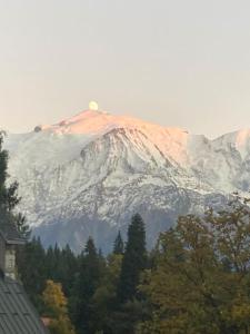 Appartement en pleine naturel