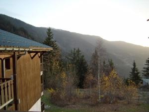 Appartements Studio-mezzanine 4 pers, animaux ok, parking, proche pistes et commerces - FR-1-733-114 : photos des chambres