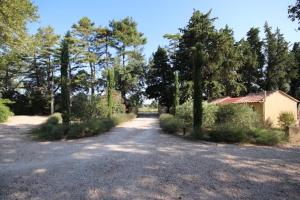 Maisons de vacances Magnifique Gite en provence : photos des chambres