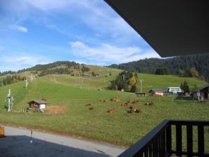 Charmant appartement avec balcon près des pistes, 4 pers., Crest-Voland, proche commerces - FR-1-733-22