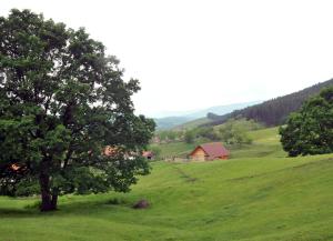 Milošev vajat - Milošs cottage