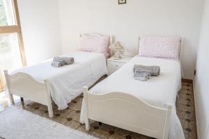 Le Case nel Vitigno - Modolo img3