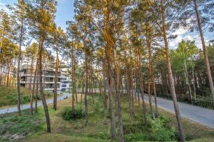 Apartamenty Premium Shellter Rogowo -DAY HOLIDAY