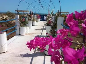 Cytyz Appart Hôtel - Amborovy