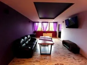 Nastrojowe Mieszkanie Plac Krakowski Gliwice 60m2 - 扎布热