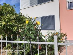 Villa Axioma 4-Star Luxury Villa, 2 apartments, Sea View , close to beach, sea view terrace