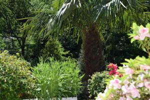 Garni Villa Siesta Park