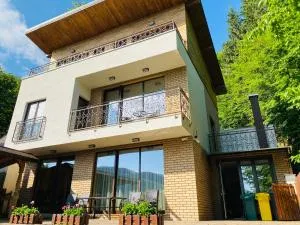 Vila Tarnita - 耶里谷乡