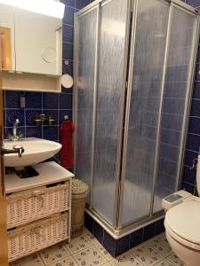 Apartment Alps View -Mont Rouge Veysonnaz