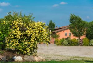 Agriturismo Corte Morandini
