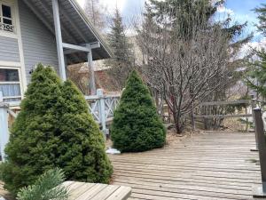 Chalets Chalet en bois a la Foux d'Allos : photos des chambres