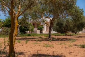 Siamoformentera Villa Beatrice