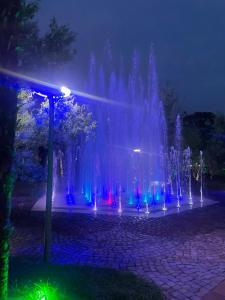 Oasis Chakvi apartment 1406