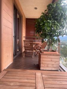 Oasis Chakvi apartment 1406