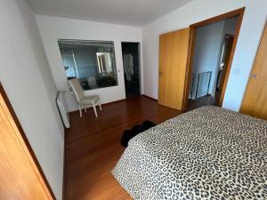 Vela Marina, Costa Nova