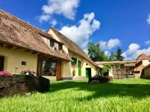 Verde de Viscri - Bărcuţ