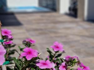 Del Parque Flats Balneario de Pina