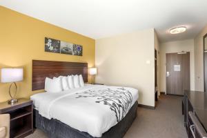 King Room - Non Smoking room in Sleep Inn North - Central York