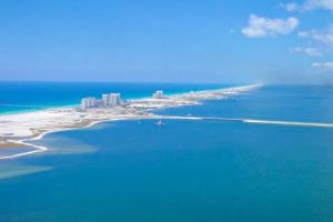 Poolside Palms Paradise