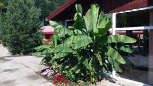 Restaurant-Pensiune La Danila