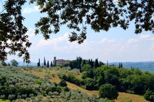 Il Salotto di Berentano