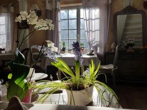 B&B / Chambres d'hotes Le jardin de Saint Jean : photos des chambres