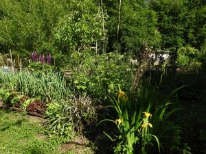 B&B / Chambres d'hotes Le jardin de Saint Jean : photos des chambres