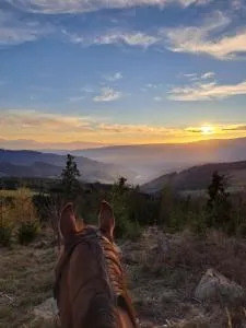 Erlebnisbauernhof Gutschi Ranch - Fischbachl