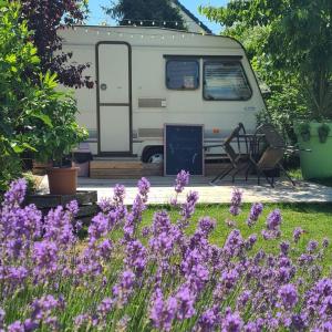 Campings Caravane chauffee -l'attrape-reve aux portes du chateau de Chambord et Cheverny : photos des chambres