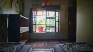 Sárgarigó Élményház