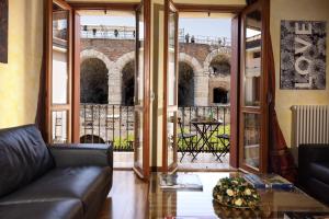 Vista Arena, incredibile