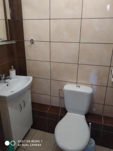 Konik Bar i Pokoje Gościnne