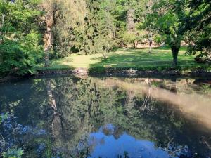 Maisons de vacances Le jardin des merveilles : photos des chambres