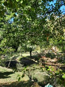 Maisons de vacances Le jardin des merveilles : Maison 3 Chambres