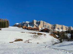 DOLOMITISCAPE CHALET