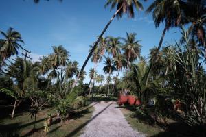 Coconut Tree Homestay