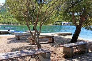 Apartments by the sea Luka Dubrava, Peljesac - 14187