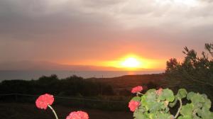 Aronis Plaka Naxos Naxos Greece