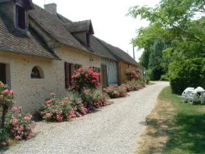 Gîte rénové en campagne, 3 ch., terrain 5000m², proche randonnées et Le Mans ! - FR-1-410-161 - Joué-lʼAbbé
