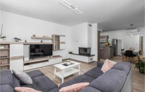 3 Bedroom Awesome Apartment In Veprinac 