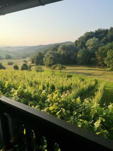 Apartma Gorca Plevnik 