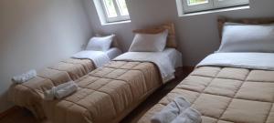 Guesthouse Dritan Tethorja