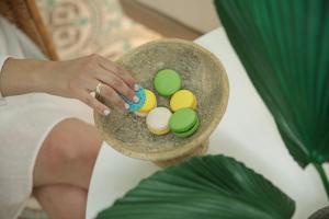 Flora Apartments & Studios