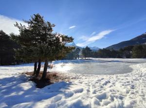 Chalets Chalet confort • Barcelonnette : photos des chambres