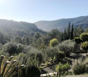 Villas Bas de villa- Bastide zebra : photos des chambres