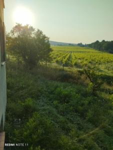 Sejours chez l'habitant Chambre d'hotes en Provence, au pied du Luberon 