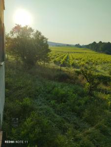 Sejours chez l'habitant Chambre d'hotes en Provence, au pied du Luberon 