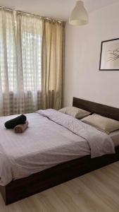 Bucharest Trip Apartment